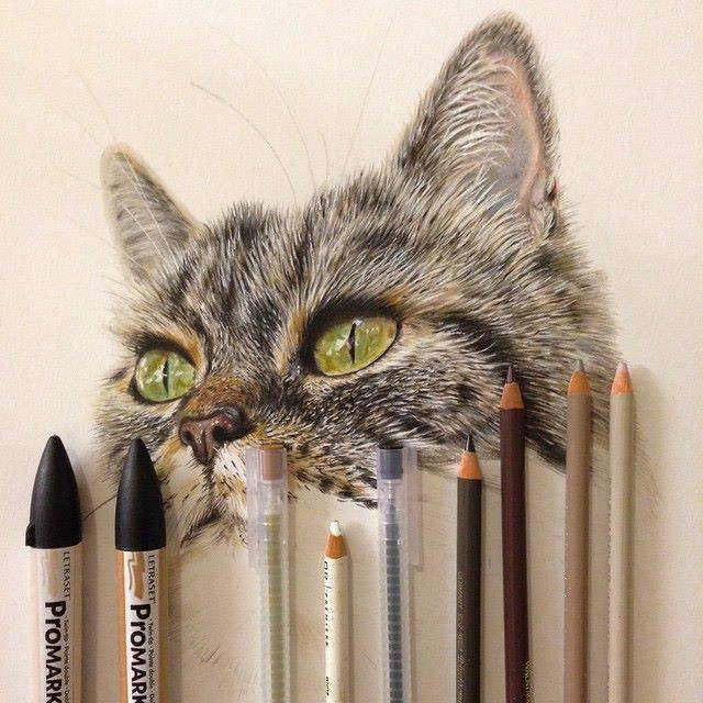 Cat Drawing