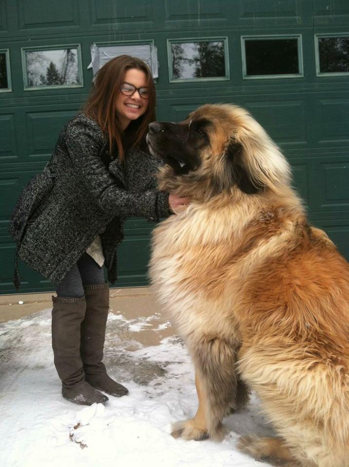 Giant Dogs And Their Owners3