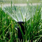 What Happens if You Use Lawn Sprinkler in Winter