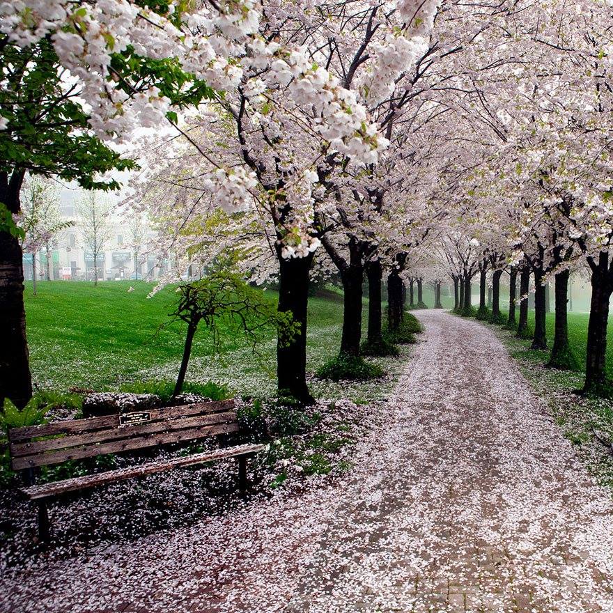 Wonderful Paths In The World2