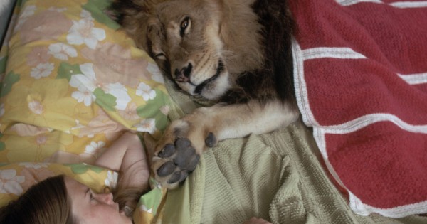 Actress Melanie Griffith lived with a pet lion in the early 1970s when she was a teenager