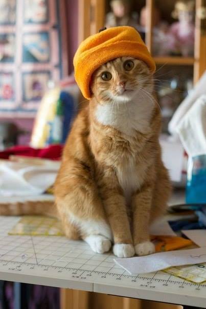 ready for winter2