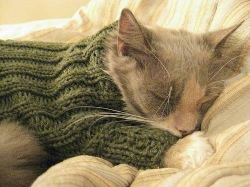 ready for winter3