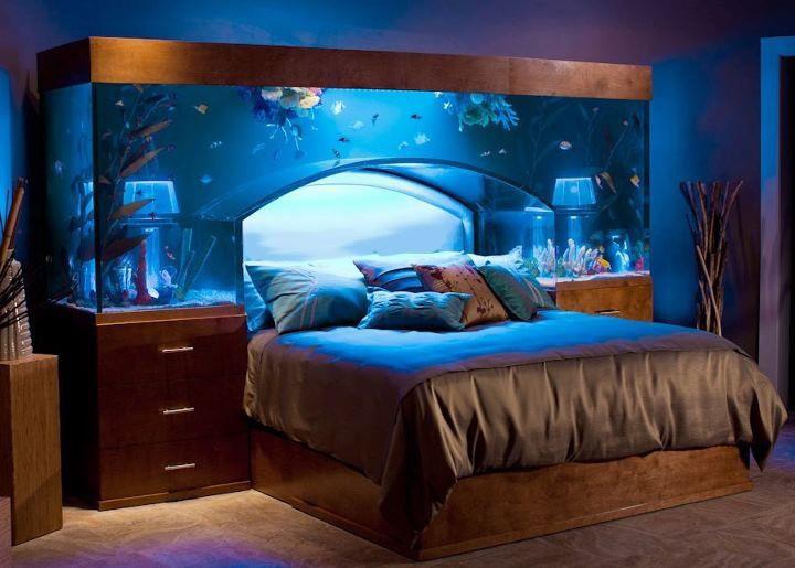 Home Aquarium Designs2