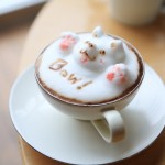 Amazing 3D Latte Art
