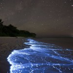 Maldives Beach at Night