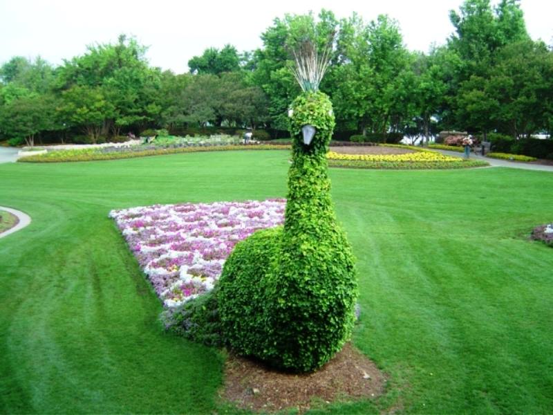 amazing gardens3