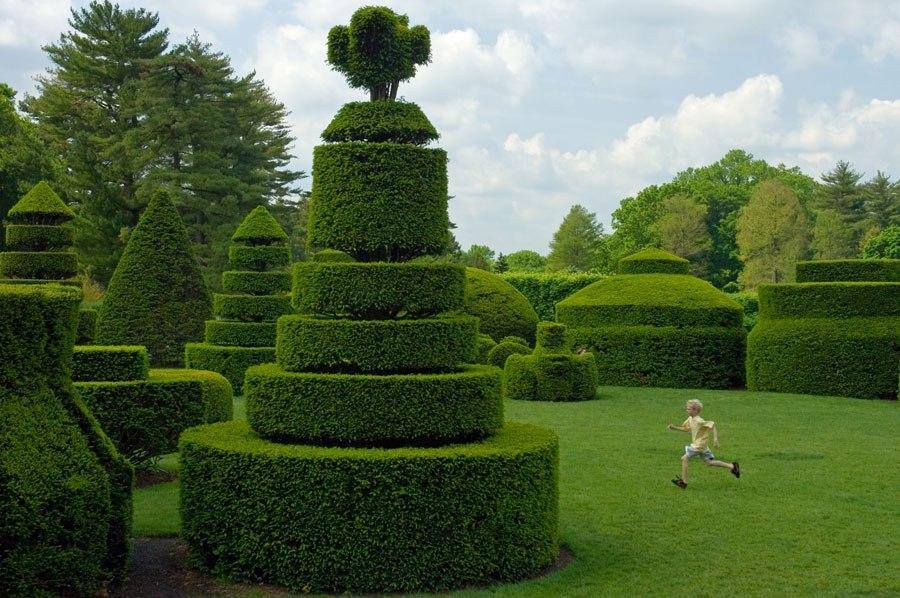 amazing gardens4