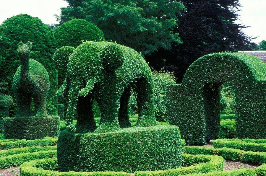 amazing gardens6