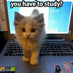 What Do You Mean You Have To Study