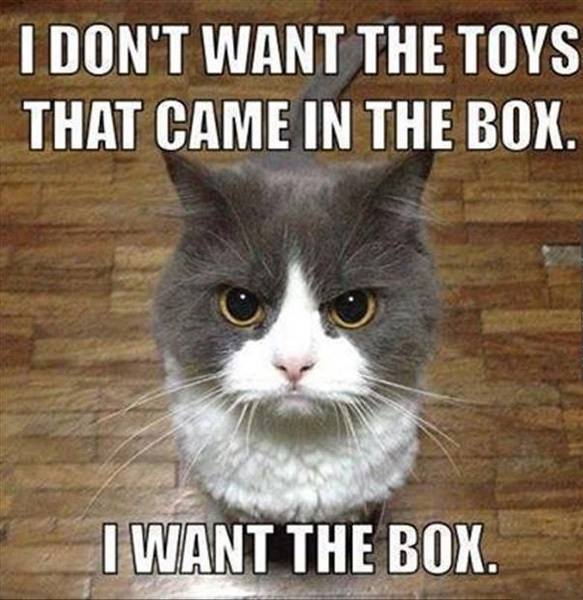 Funny Animal Quotes10