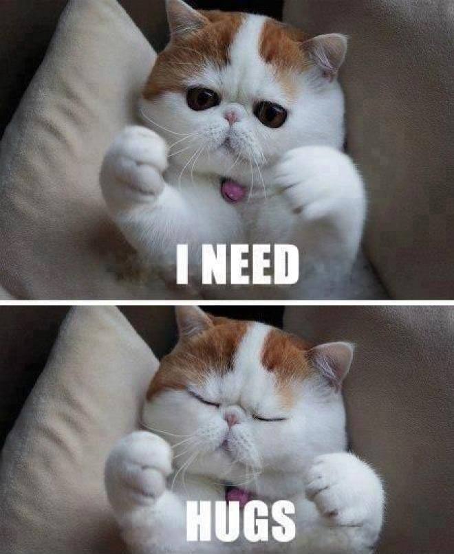 Funny Animal Quotes8