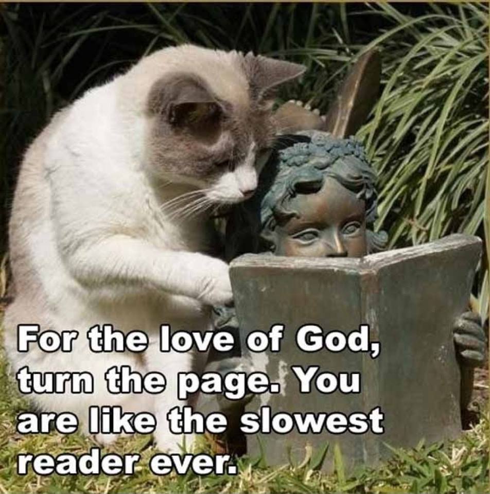 Funny Animal Quotes9