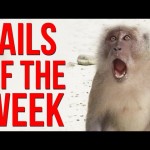 Fails Of The Week