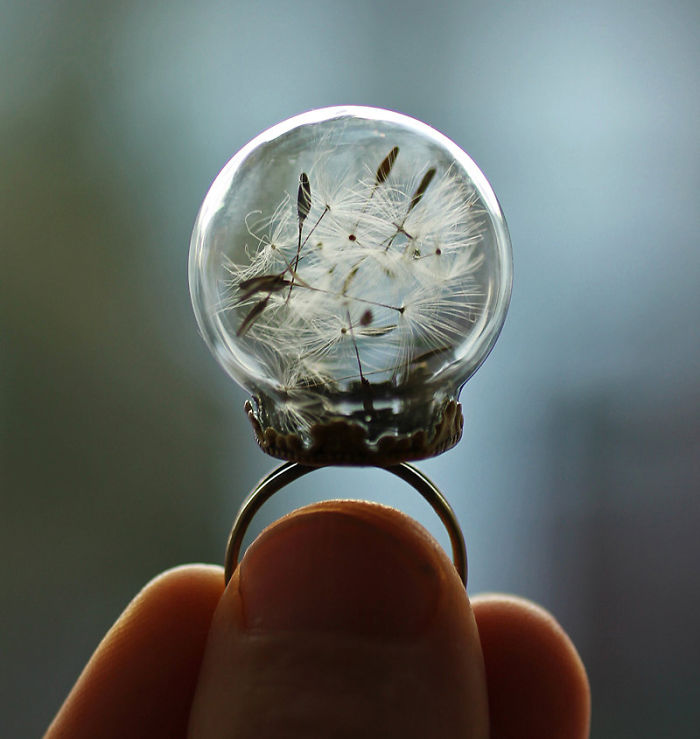 globe terrarium ring