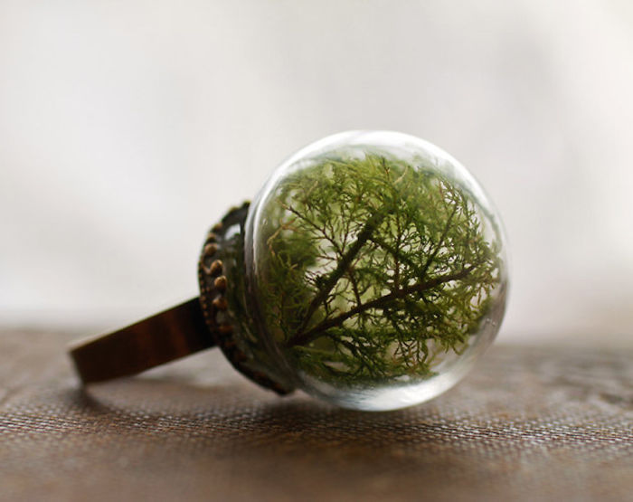 globe terrarium ring6