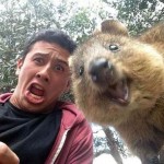 Quokka Selfie, Australia