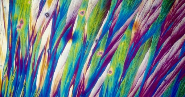 Alcoholic Drinks Under A Microscope