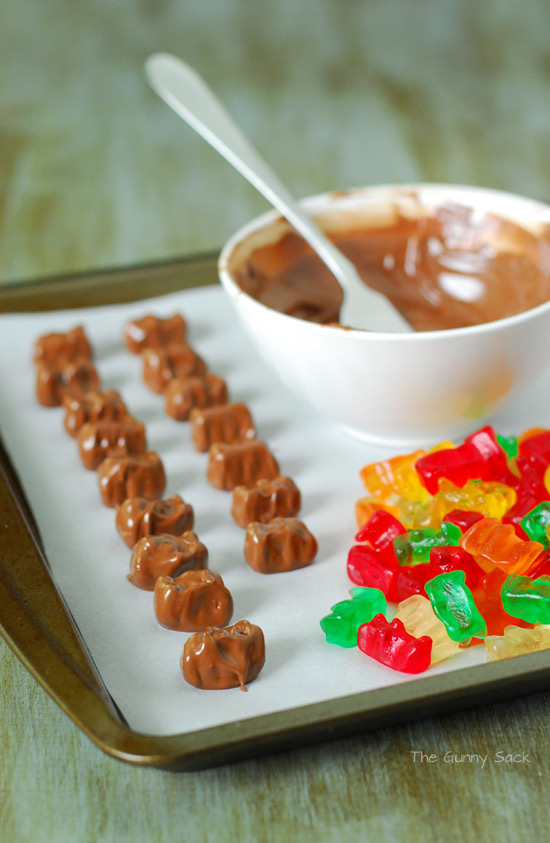 gummy bears covered in chocolate2