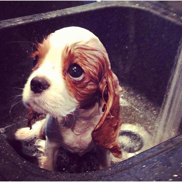 Her first bath