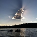 Perfect Wolf Cloud