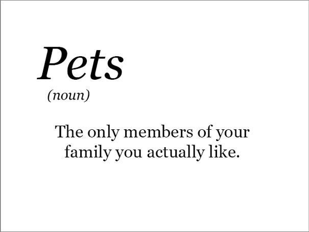 The REAL Meanings Of Some Words pets