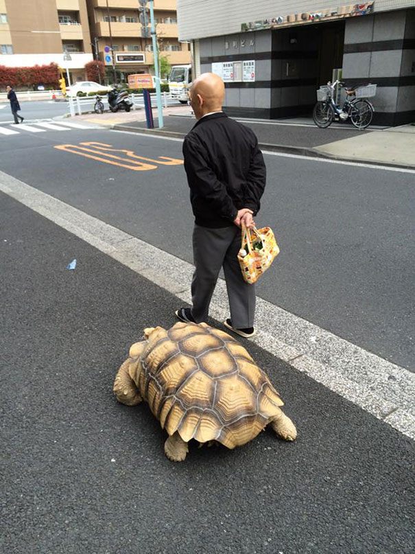 World’s Most Patient Pet Owner