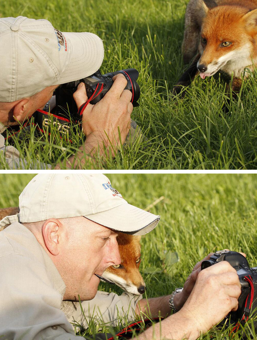 Animals That Want To Be Photographers