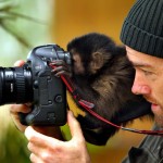 Animals That Want To Be Photographers