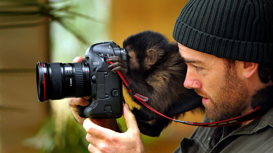 Animals That Want To Be Photographers5