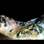 NASA Discovers Liquid Salty Water Flowing On Mars