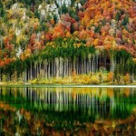 Autumn In The Austrian Alps