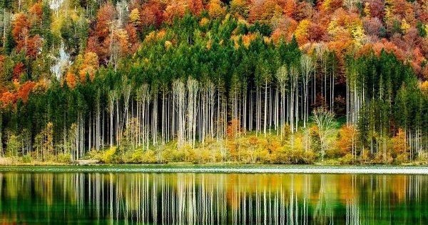 Autumn In The Austrian Alps