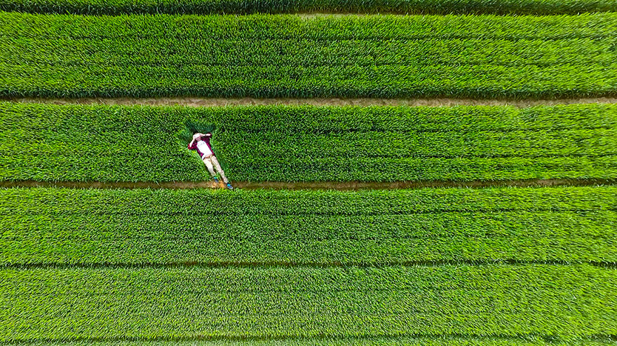 The best drone photography of 2015