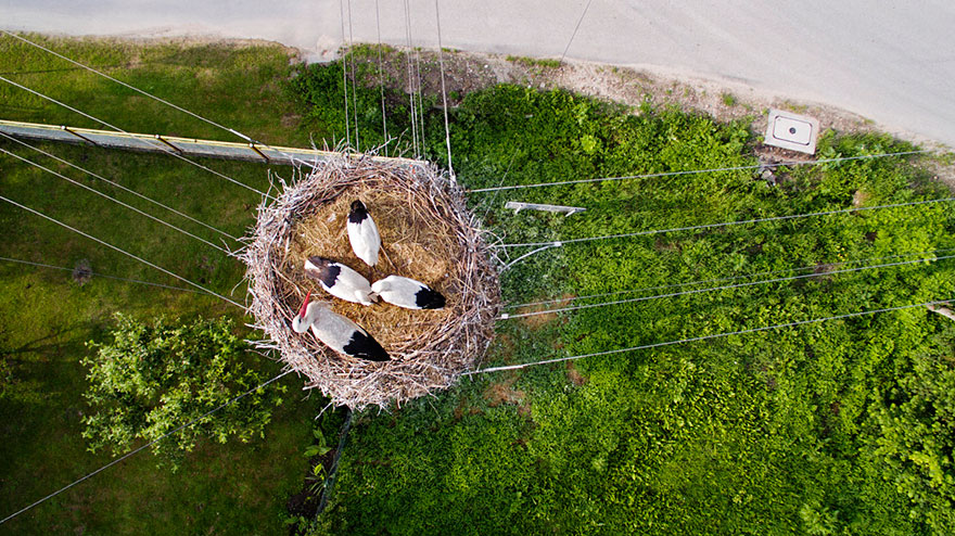 The best drone photography of 20153