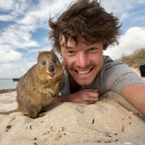 real-life Dr. Dolittle