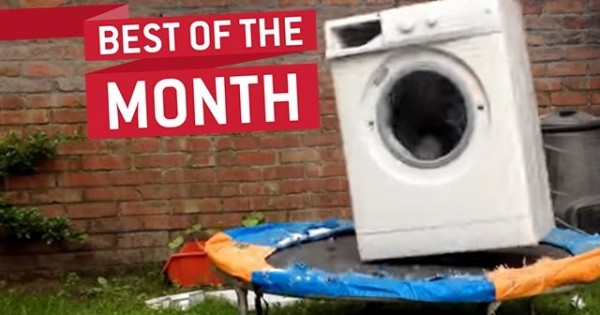Best Videos Of The Month January
