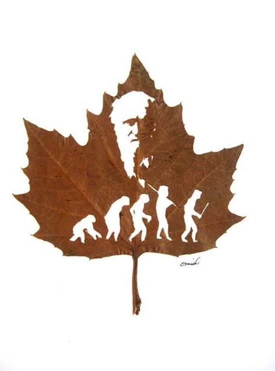 This Artist Uses Fallen Leaves To Create Incredible Art6
